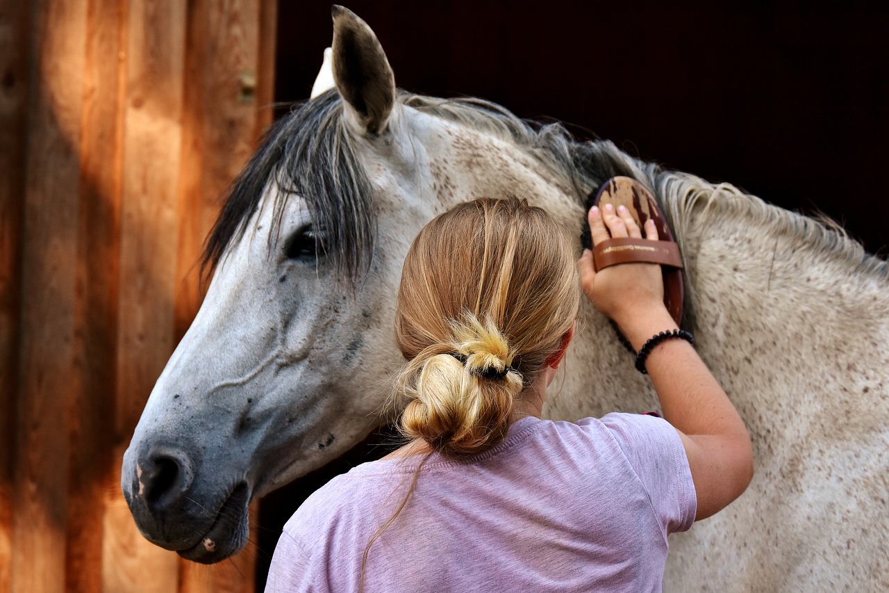 How To Groom Your Horse